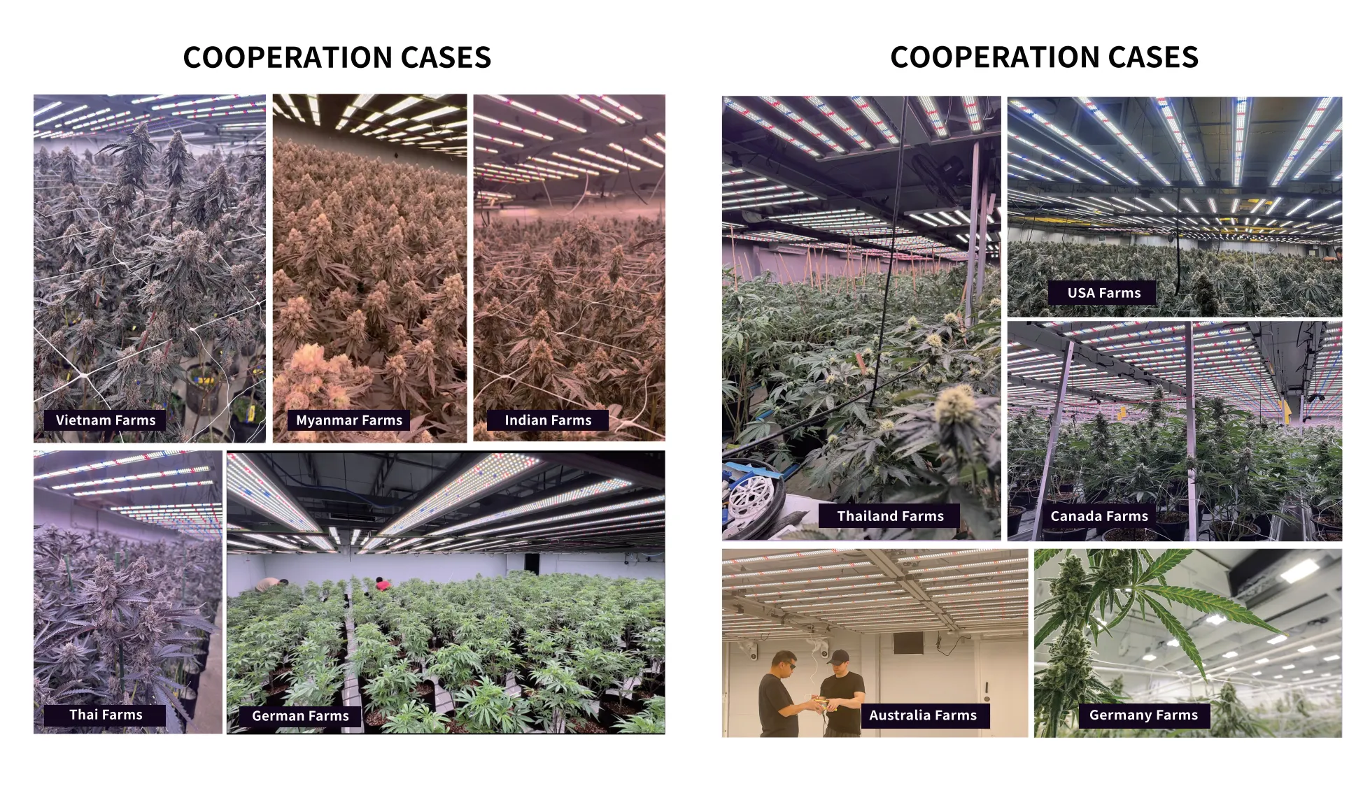 LED Grow Light Cases