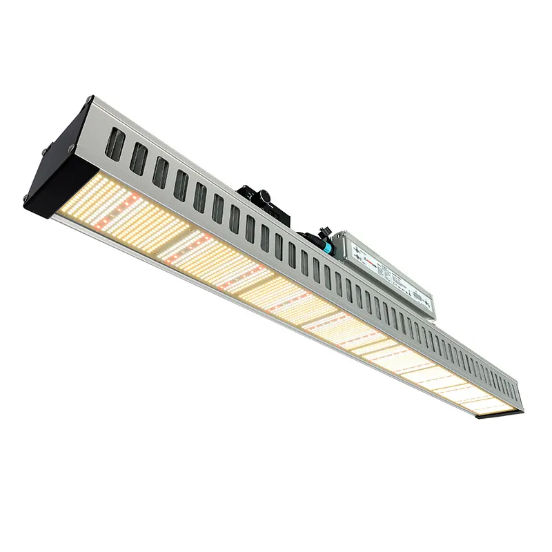 grow light